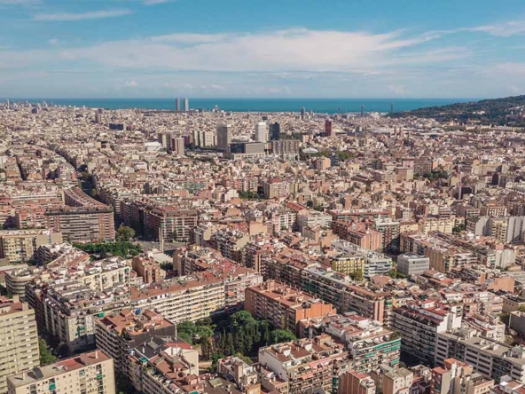 Finançament públic ICF